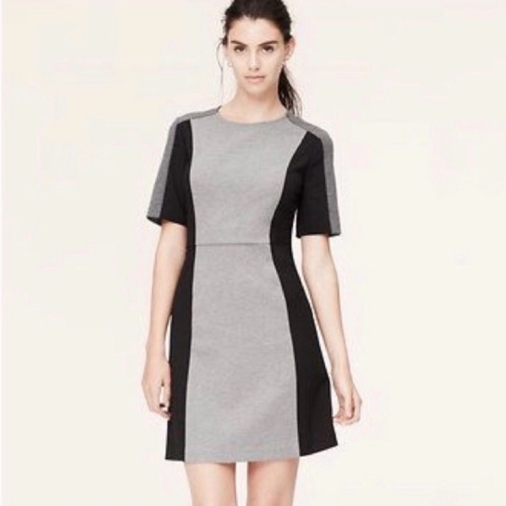 NWT Loft Structured Colorblock Pointe Knit A-line Dress, Size 2 Petite